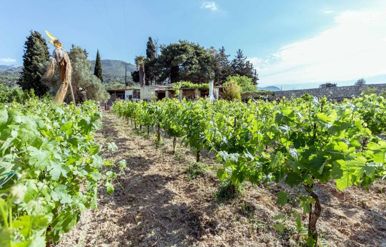 Nassibe Estate Villa Agios Ioannis  Eksteriør billede