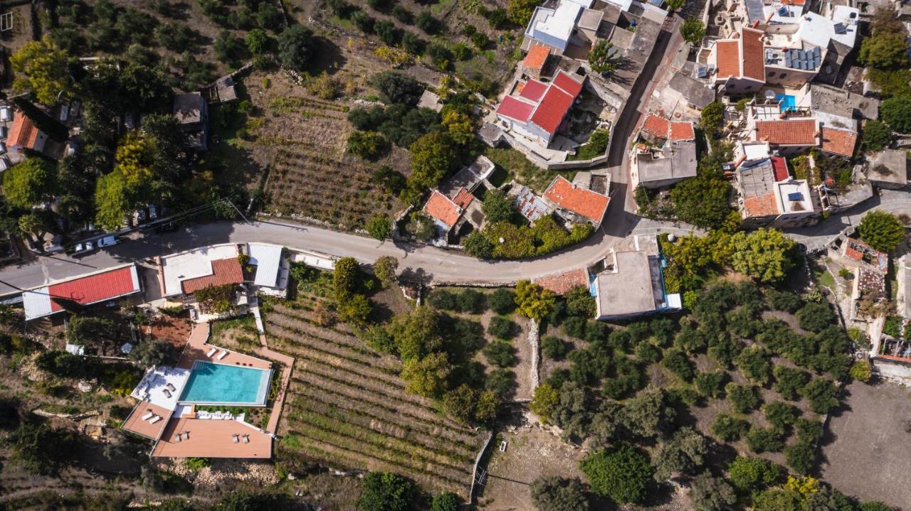 Nassibe Estate Villa Agios Ioannis  Eksteriør billede